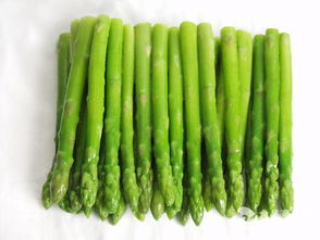 蘆筍酵素粉 速溶 原汁原味招商 云南 植物提取物