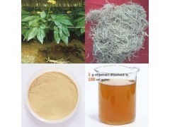 人參提取物_商城_西安天瑞生物技術供應部會員商鋪-中國貿易網-會員網站