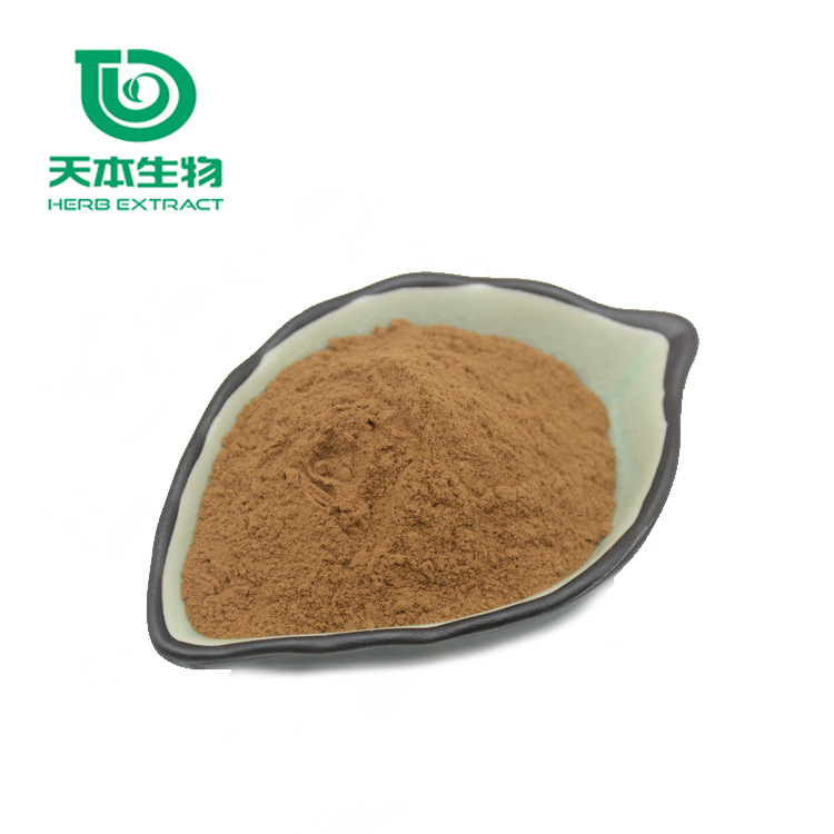 西安天本 植物提取物 當歸提取物粉 高比例10:1 提取物 廠家批發