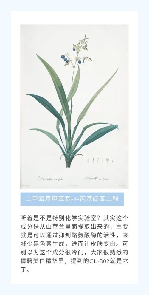 植物護膚品,植物提取物,怎么又成智商稅了